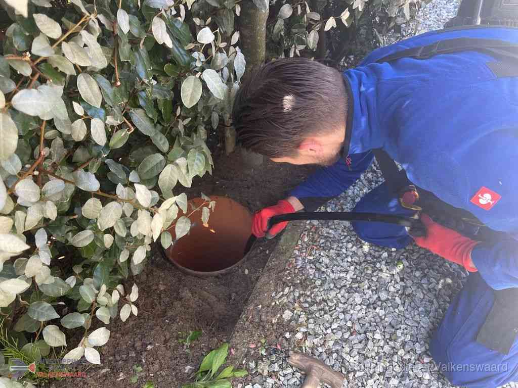 Rioolvliegjes Valkenswaard Rioolvliegjes Valkenswaard